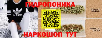 прущий лед Будённовск