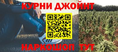 прущий лед Будённовск