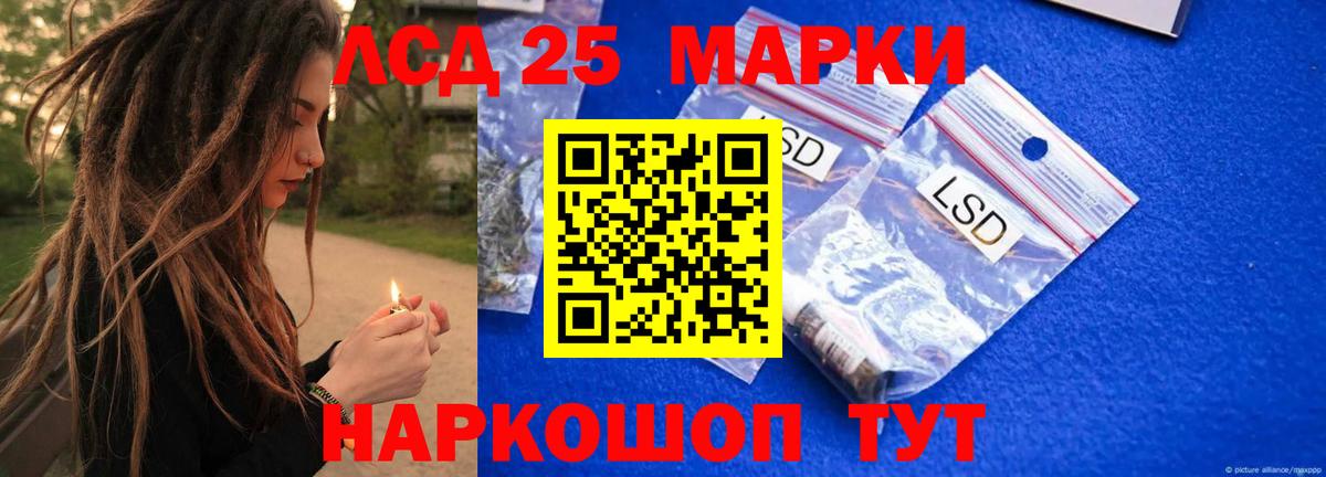 Псилоцибиновые грибы Тверь