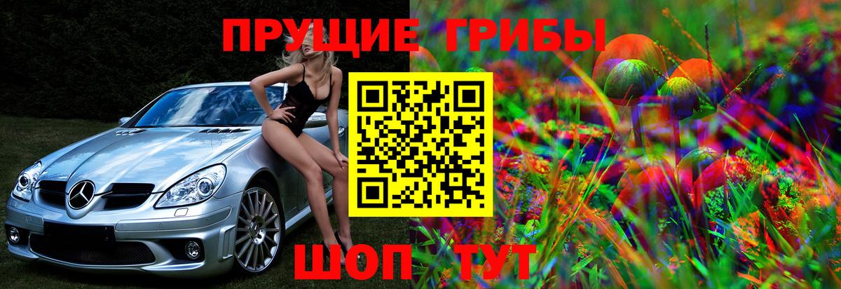 Псилоцибиновые грибы прущие грибы  где продают   Тверь  Вход с VPN  Псилоцибиновые грибы прущие грибы 