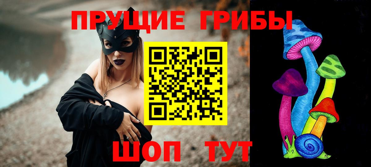 Псилоцибиновые грибы GOLDEN TEACHER Тверь